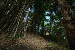 BIB: 
                            <button type="button" onclick="openModal(19396183)" class="btn btn-primary btn-sm float-right btn-popup" data-toggle="modal" data-target=".modal-high-quality">
                        <i class="fas fa-shopping-cart"></i> Add to Cart
                    </button>
                                            <button type="button" onclick="isThisMe(19396183, true)" class="btn btn-success btn-sm float-right btn-popup btn-isme hidden" data-toggle="tooltip" data-placement="bottom" title="นี่คือรูปของคุณใช่ไหม คลิกที่นี่เพื่อเอาเข้าอัลบั้ม">
                        <i class="fas fa-plus"></i> Add to album
                    </button>
                    <button type="button" onclick="isThisMe(19396183, false)" class="btn btn-warning btn-sm float-right btn-popup btn-isnotme hidden">
                        <i class="fas fa-ban"></i> Remove from album
                    </button>